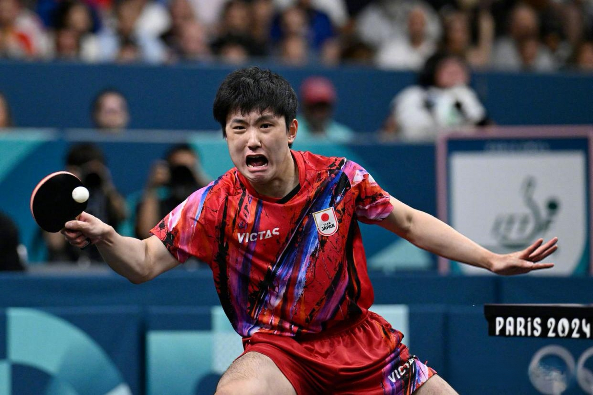 关于瑞典队轻取法国队，张本智和刷新纪录的信息