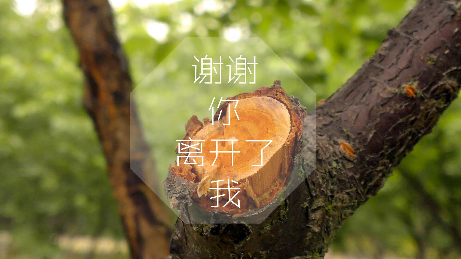 从极寒到热土,努涅斯一锤定音,加拿大足球的冰雪奇缘