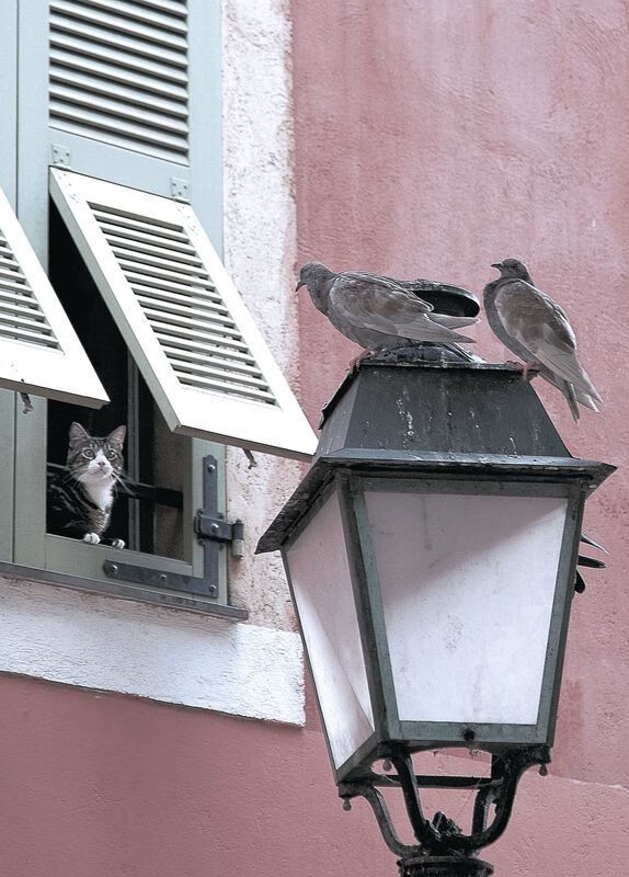 草根英雄的史诗，华盛顿奇才如何在东决关键战中掀翻纽约尼克斯