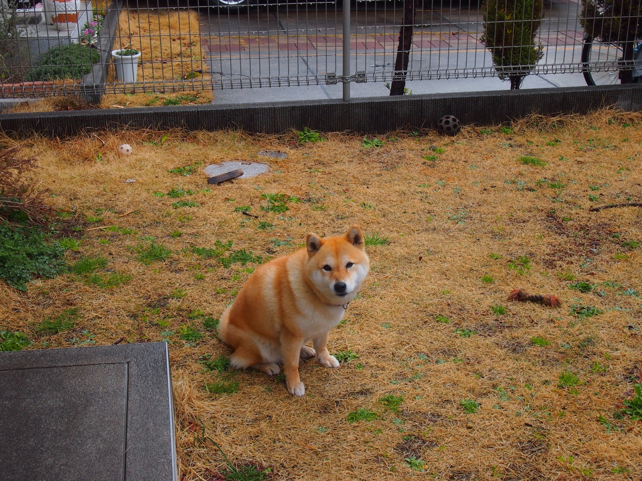 沉默者的轰鸣，当霍勒迪在抢七的静默中接管世界