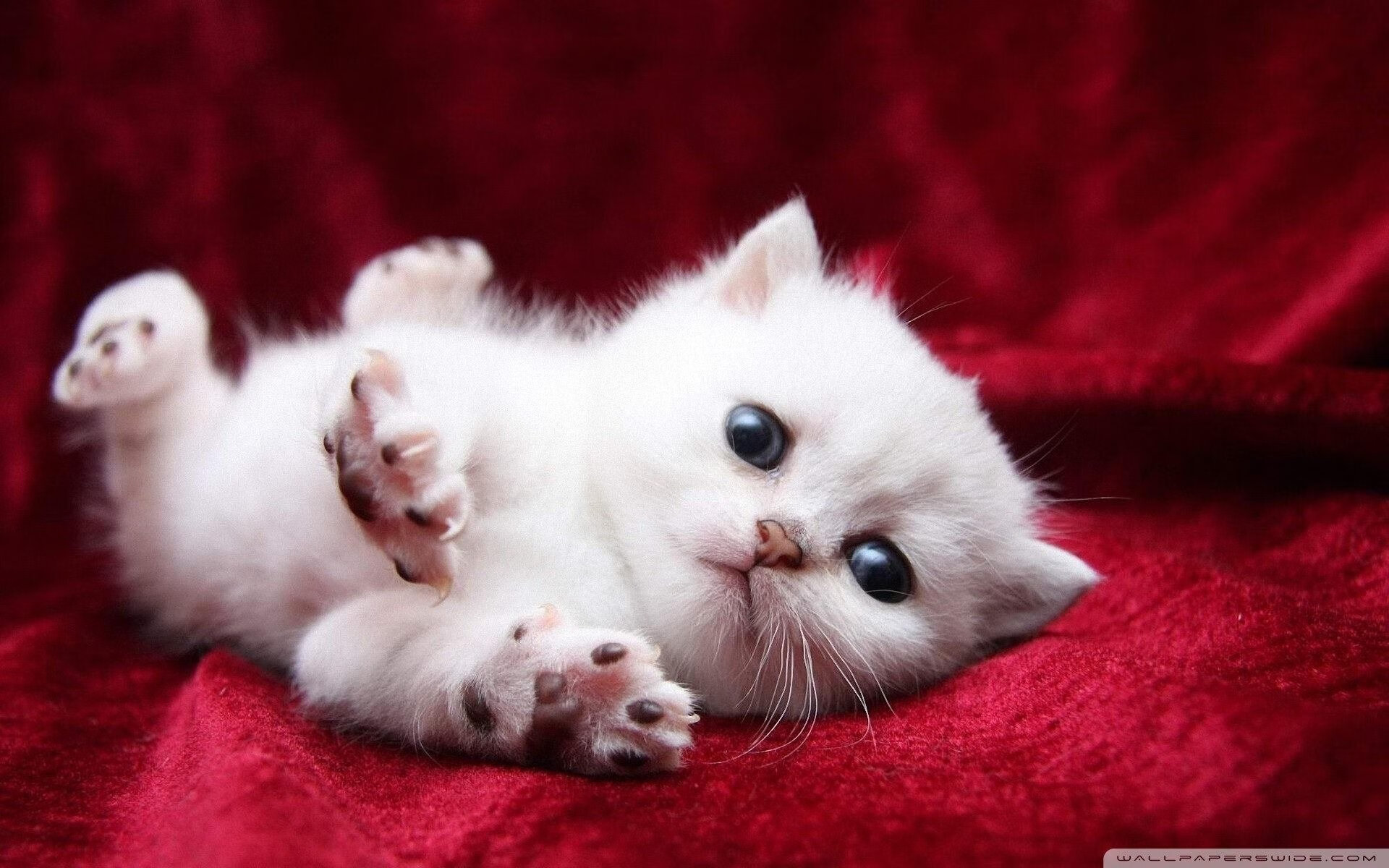 一剑封喉！本泽马天外飞仙定江山，切尔西险胜毕尔巴鄂握争冠先机