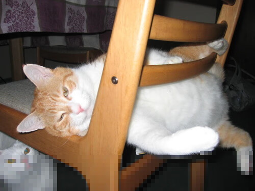 流星划过终成光，卢卡库生涯之夜与克罗地亚的静默处决