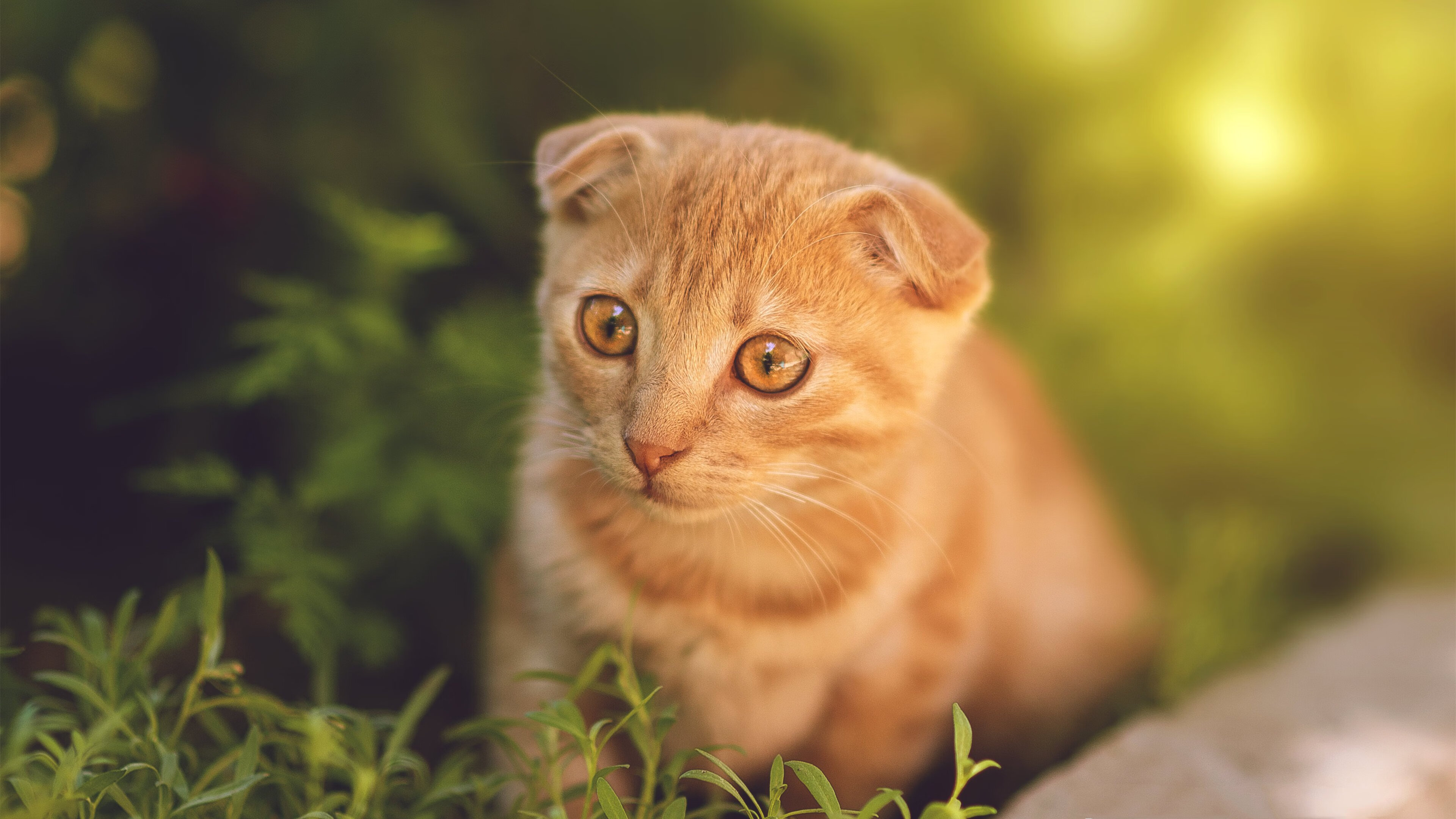 数据之王巴雷拉独造三球，亚特兰大3-0沙特展现恐怖效率