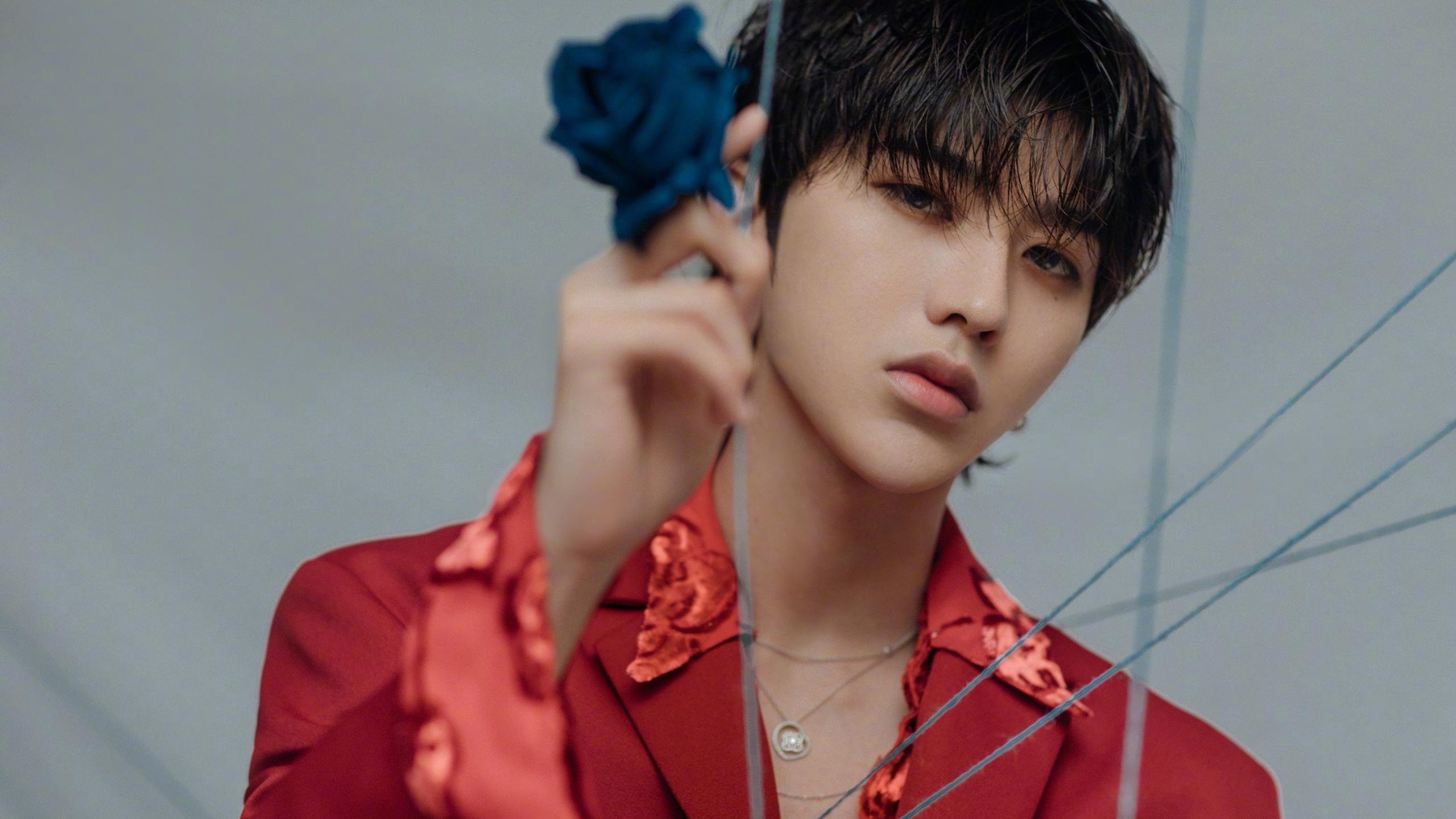 库里空降CBA？一记三分撕裂时空，魔术力克辽宁背后的跨次元掌控者