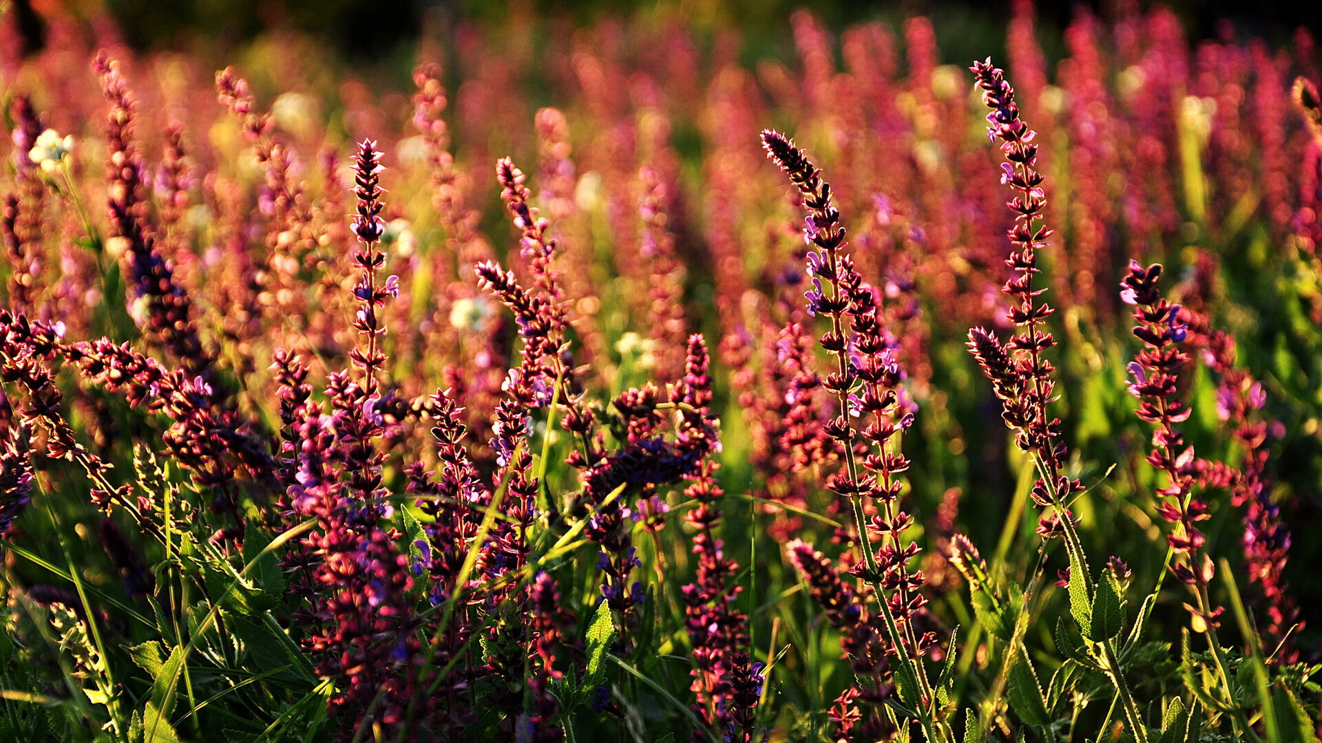 欧冠决赛之夜，人人都能成为自己的伦纳德
