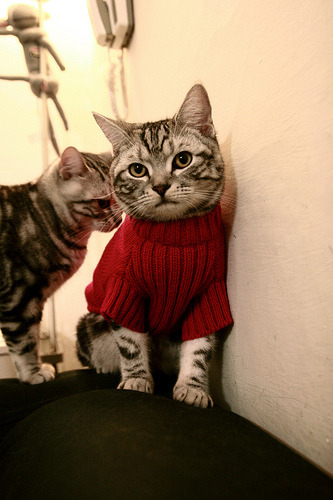 1.德罗赞一剑封喉，浙江队末节崩盘，奇才惊险过关