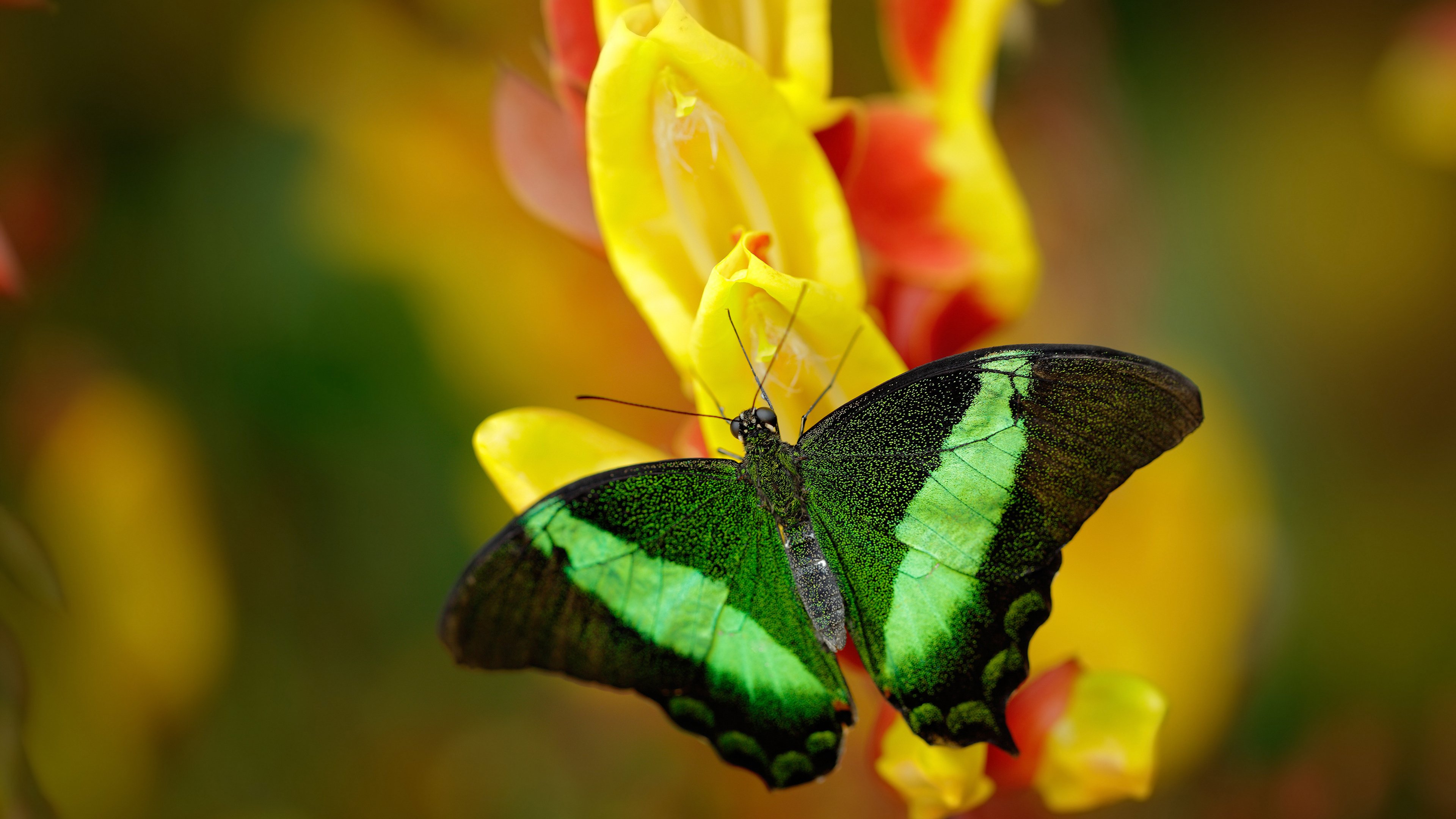 奥运周期前的试金石，快船险胜凯尔特人背后的战略博弈