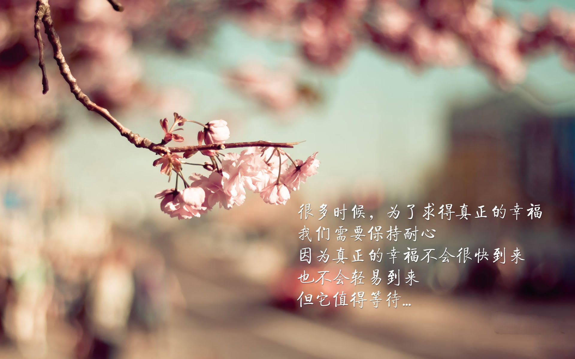 团队洪流与个人巨浪,季后赛中的两套权力剧本