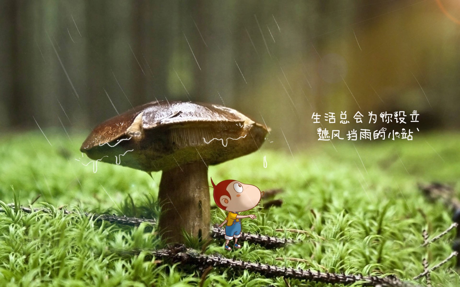 沙漠孤鹰与桑巴狂舞，齐耶赫的孤绝弯刀，为何割不破巴西中场织就的逆转天网？