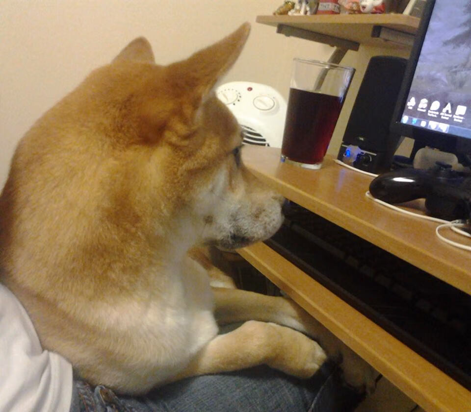 （扩展思维护）
