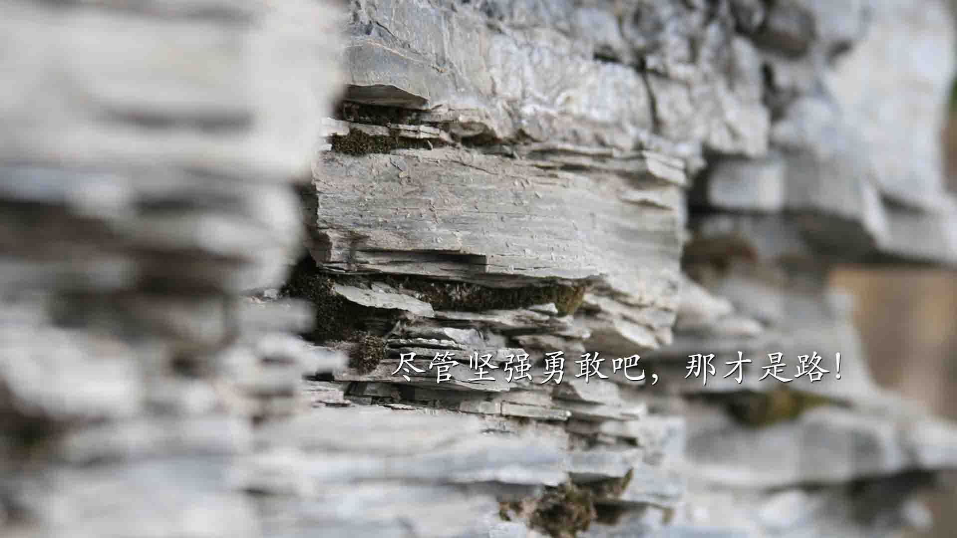 悲情英雄，哈基米闪耀难救主，瑞典控球制胜书写北欧新王篇章