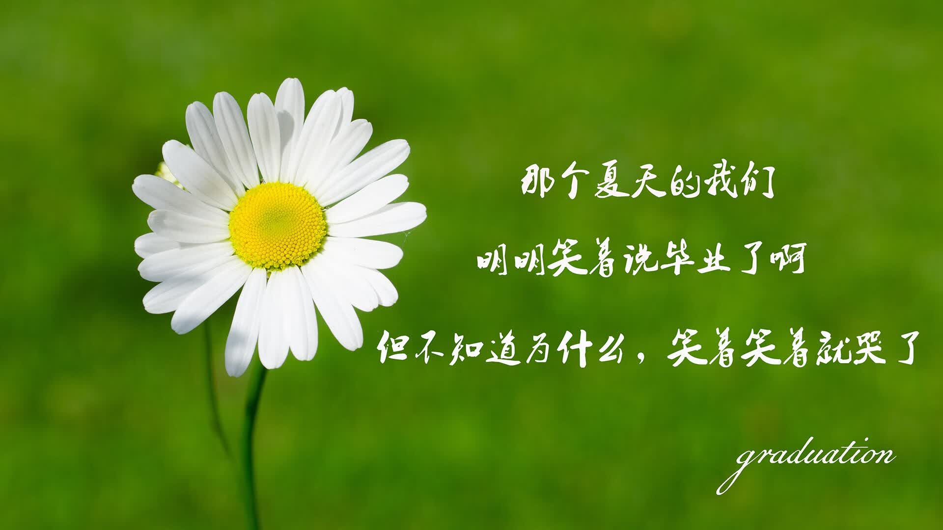 安第斯铁幕下的绝命独舞,智利横扫秘鲁,托纳利一剑封喉定乾坤