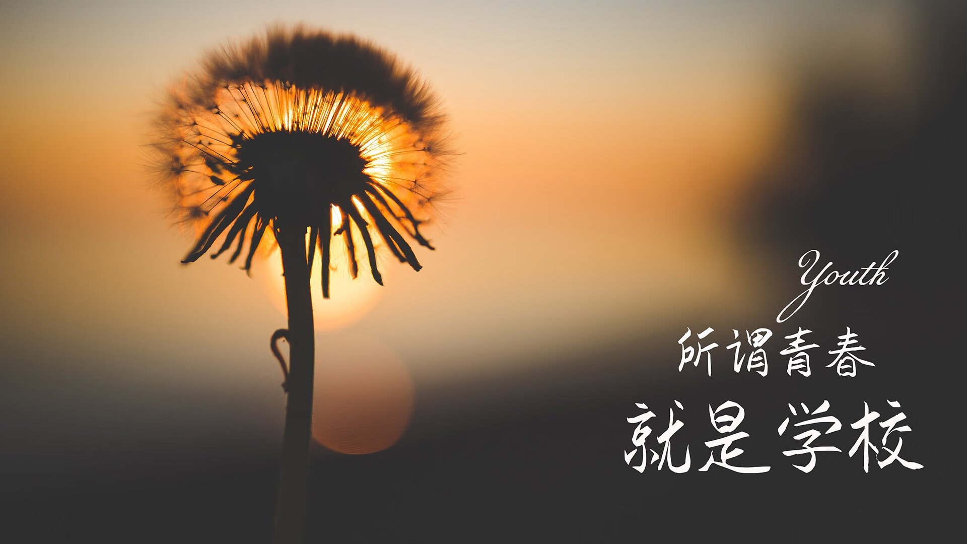 2026世界杯生死夜，C罗绝唱续写传奇，斯洛伐克屠戮瑞士掀翻格局