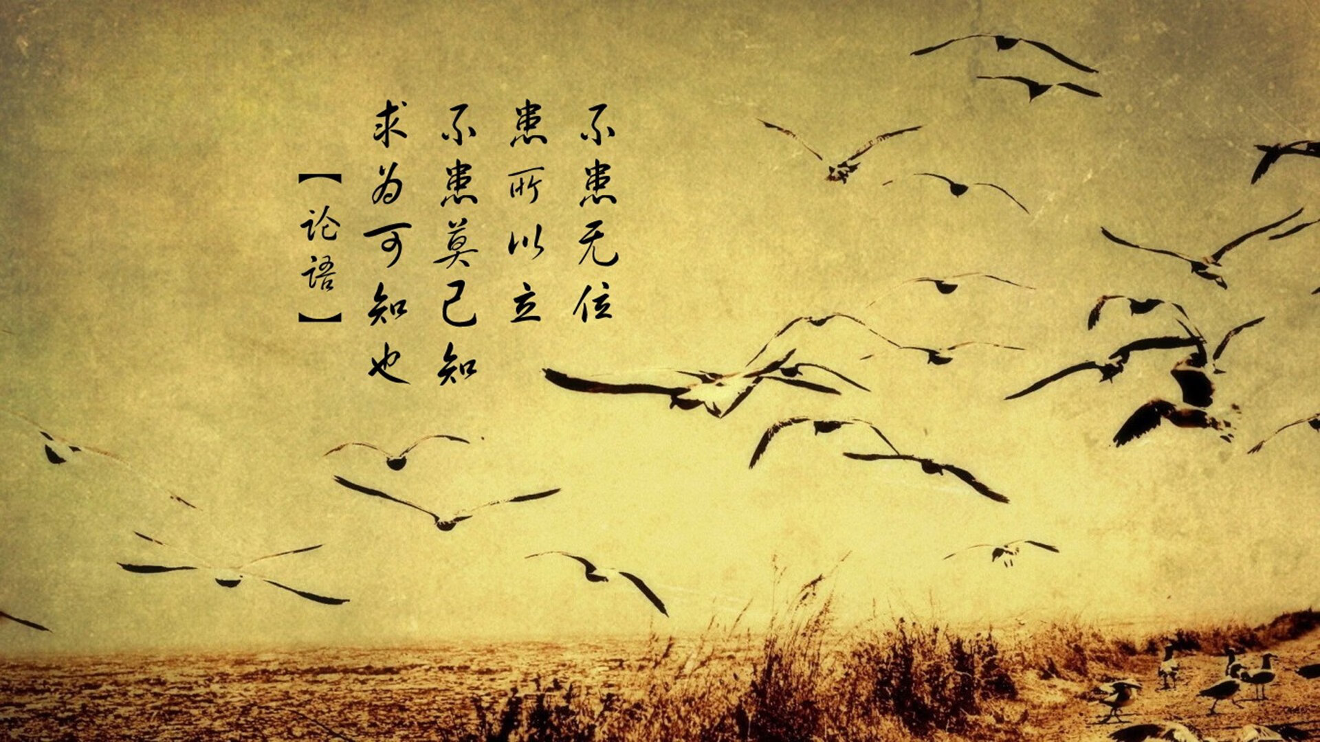 绝杀之光，范戴克天神下凡，秘鲁临场妙手降服泰国铁象